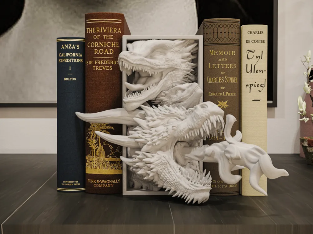 Drogon Book Nook
