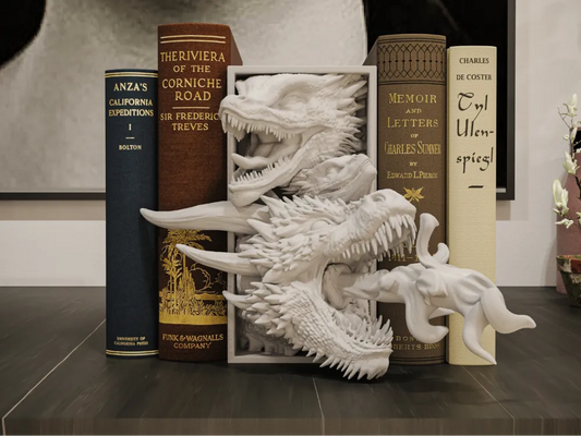 Drogon Book Nook